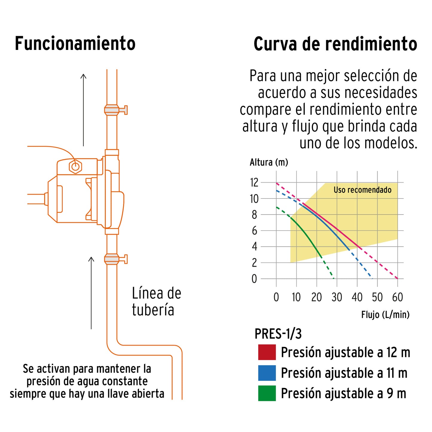 2 Servicios